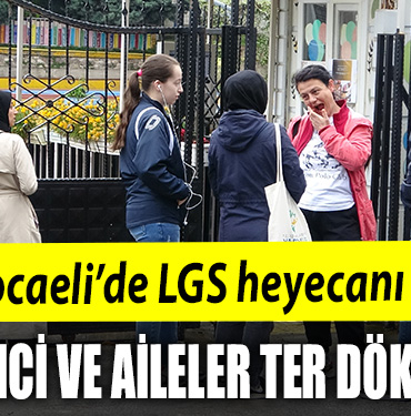 lgs