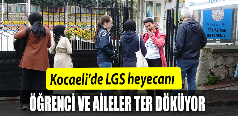 lgs