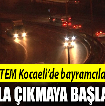 tem kocaeli