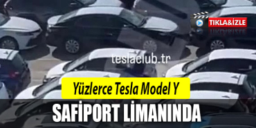 tesla model y safiport