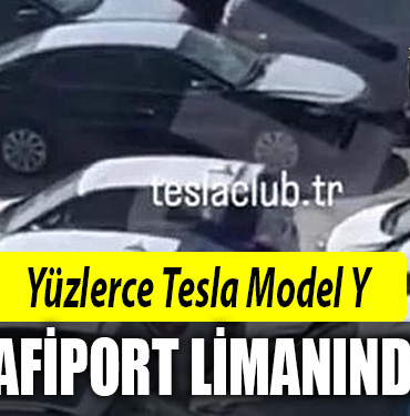 tesla model y safiport