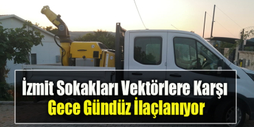 vektor