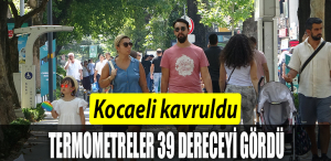 39