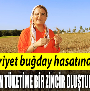 BUĞDAY