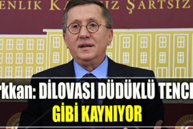 İYİ Parti Milletvekili Lütfü Türkkan DİLOVASI DÜDÜKLÜ TENCERE GİBİ KAYNIYOR