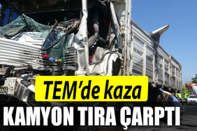 KAMYON