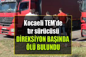 KOCAELİ TEM