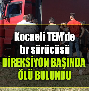 KOCAELİ TEM