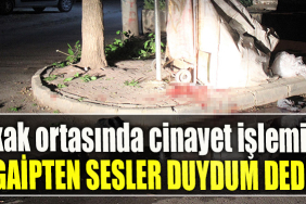 Kocael' de Sokak ortasında cinayet işlemişti, Gaipten sesler duydum dedi