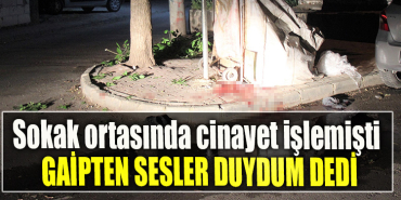Kocael' de Sokak ortasında cinayet işlemişti, Gaipten sesler duydum dedi