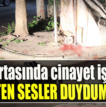 Kocael' de Sokak ortasında cinayet işlemişti, Gaipten sesler duydum dedi