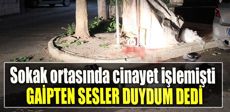 Kocael' de Sokak ortasında cinayet işlemişti, Gaipten sesler duydum dedi