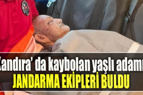 Kocaeli' de kaybolan yaşlı adamı jandarma ekipleri buldu