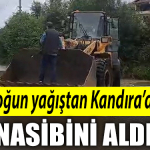 NASİP