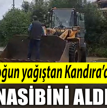 NASİP