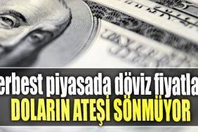 Serbest piyasada döviz fiyatları