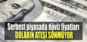 Serbest piyasada döviz fiyatları