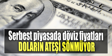 Serbest piyasada döviz fiyatları