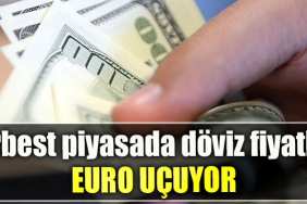 Serbest piyasada döviz fiyatları Euro uçuyor