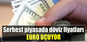 Serbest piyasada döviz fiyatları Euro uçuyor