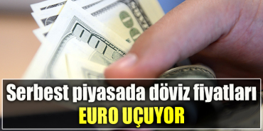 Serbest piyasada döviz fiyatları Euro uçuyor