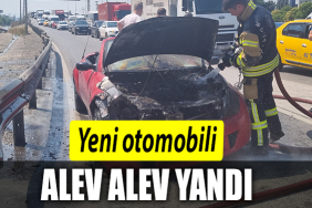YANDI