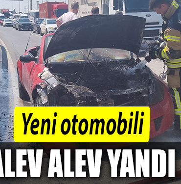 YANDI