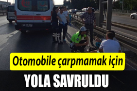 YOL