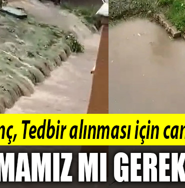 dayanç