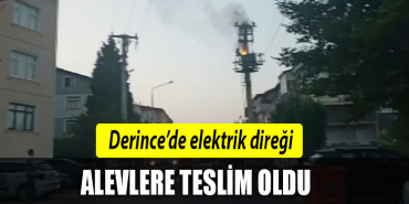 derince elektrik