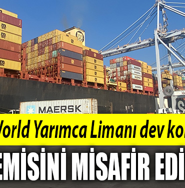 dp world yarımca