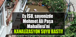 isu mehmet ali paşa
