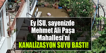 isu mehmet ali paşa