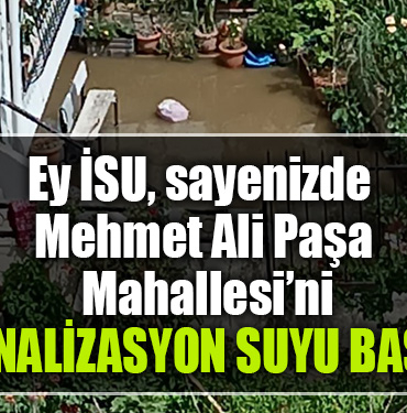 isu mehmet ali paşa