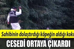 kocaeli ceset