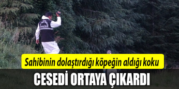 kocaeli ceset