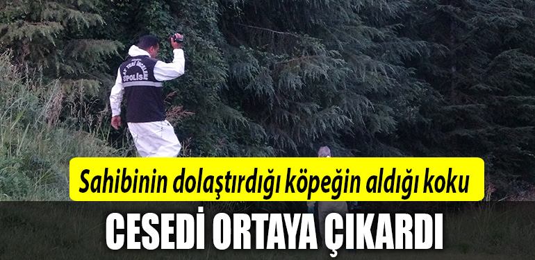 kocaeli ceset