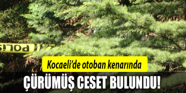 kocaeli ceset