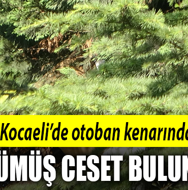 kocaeli ceset