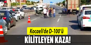 kocaeli d 100