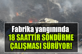 kocaeli fabrika tyangın