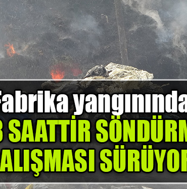 kocaeli fabrika tyangın