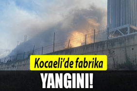 kocaeli fabrika yangını