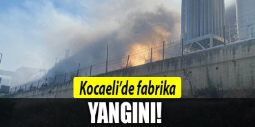 kocaeli fabrika yangını