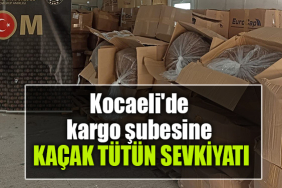 kocaeli kargo