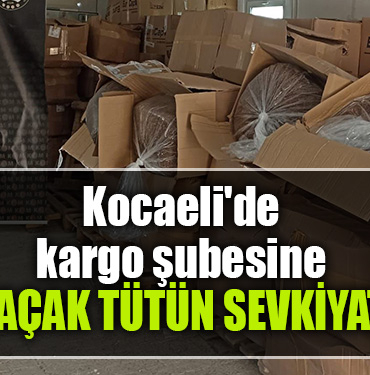 kocaeli kargo