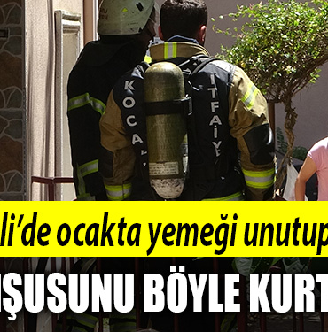kocaeli komşusunu kurtardı
