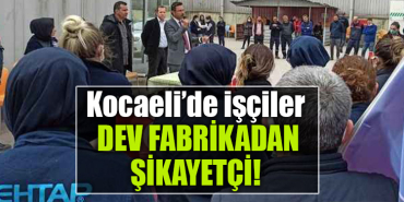kocaeli mehtap tencere