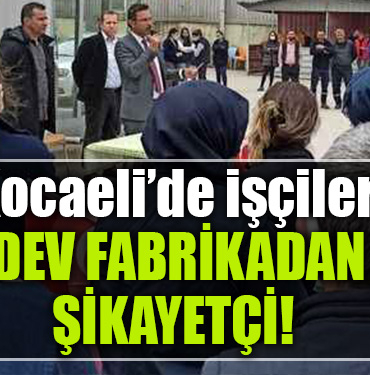 kocaeli mehtap tencere