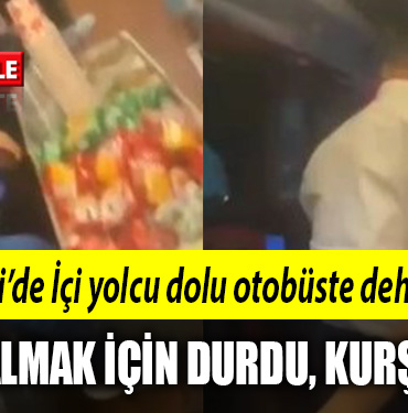 kocaeli otobüs fd